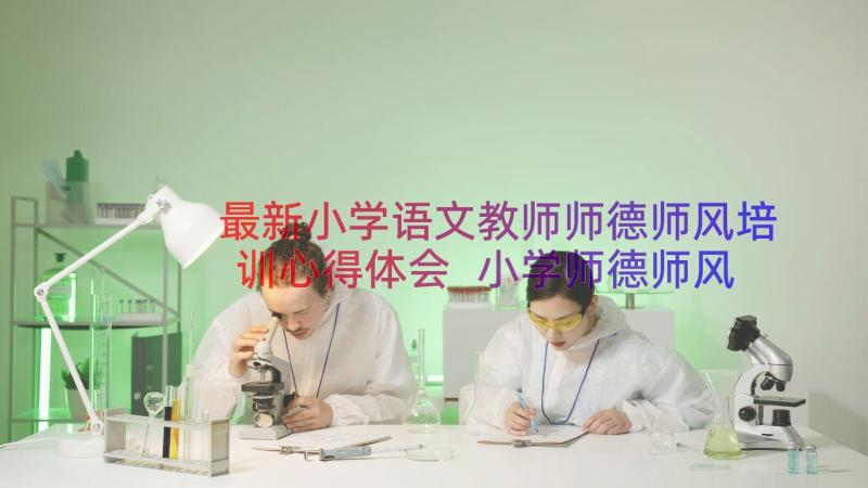 最新小学语文教师师德师风培训心得体会 小学师德师风心得体会(实用9篇)