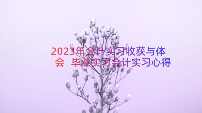 2023年会计实习收获与体会 毕业实习会计实习心得体会及收获(汇总8篇)