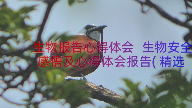 生物报告心得体会 生物安全感悟及心得体会报告(精选6篇)