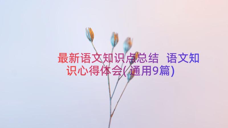 最新语文知识点总结 语文知识心得体会(通用9篇)