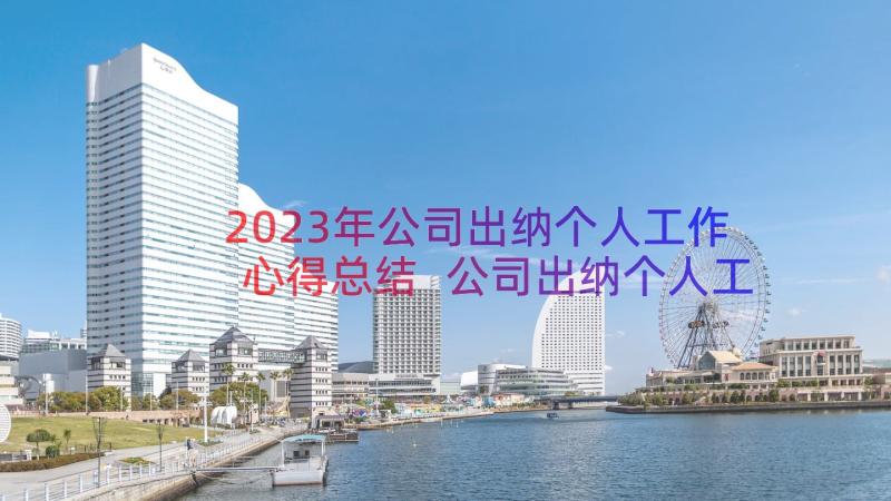 2023年公司出纳个人工作心得总结 公司出纳个人工作总结(精选13篇)