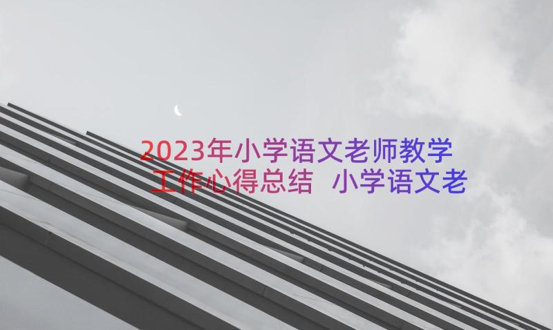 2023年小学语文老师教学工作心得总结 小学语文老师教学工作总结(大全20篇)