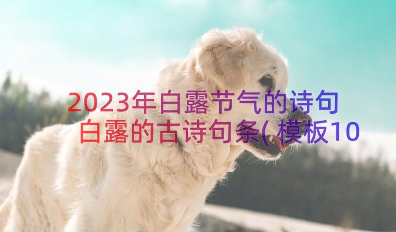 2023年白露节气的诗句 白露的古诗句条(模板10篇)