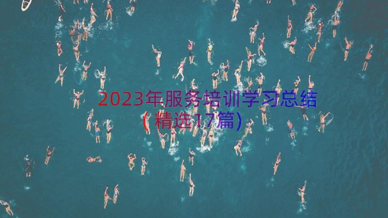 2023年服务培训学习总结(精选17篇)