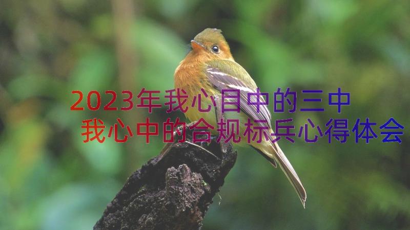 2023年我心目中的三中 我心中的合规标兵心得体会(通用19篇)