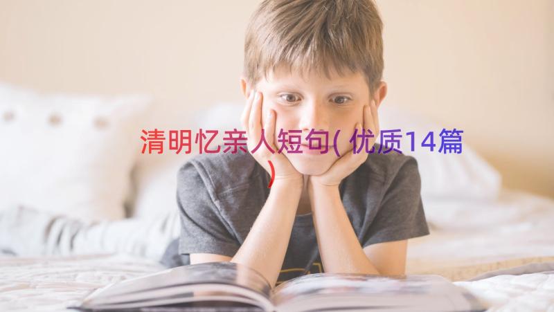 清明忆亲人短句(优质14篇)