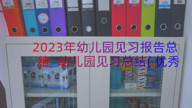 2023年幼儿园见习报告总结 幼儿园见习总结(优秀10篇)