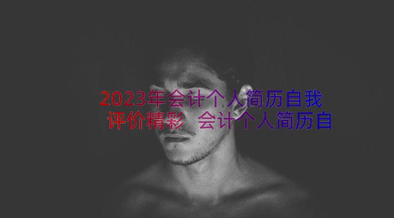 2023年会计个人简历自我评价精彩 会计个人简历自我评价(通用20篇)