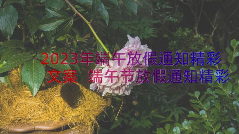 2023年端午放假通知精彩文案 端午节放假通知精彩(精选8篇)