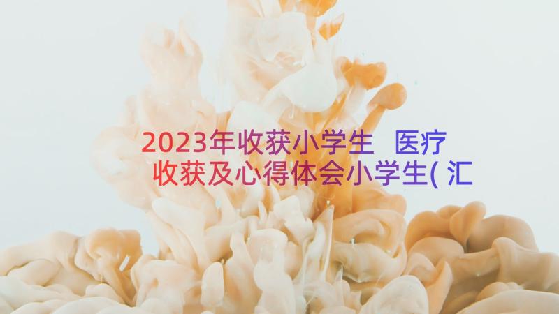 2023年收获小学生 医疗收获及心得体会小学生(汇总8篇)