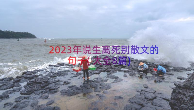 2023年说生离死别散文的句子(大全8篇)