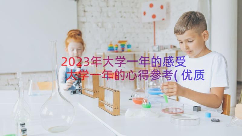 2023年大学一年的感受 大学一年的心得参考(优质8篇)