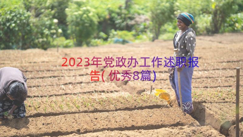 2023年党政办工作述职报告(优秀8篇)