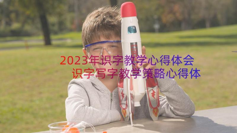 2023年识字教学心得体会 识字写字教学策略心得体会(优质17篇)