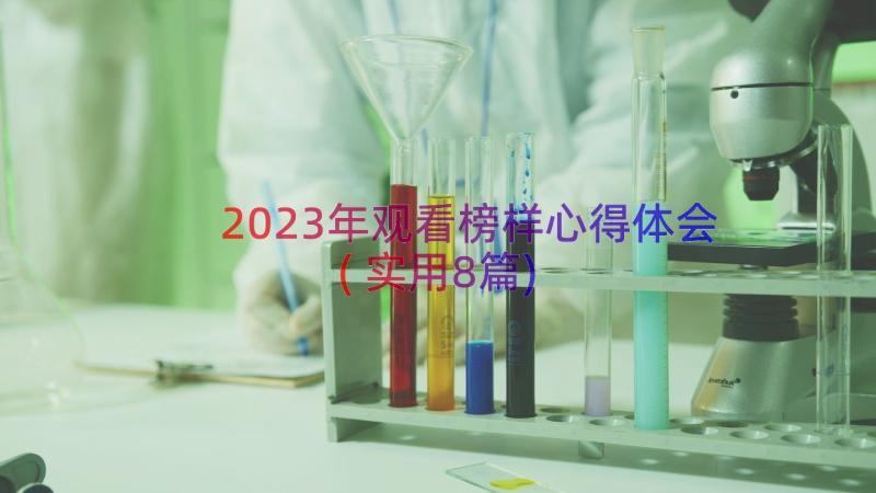 2023年观看榜样心得体会(实用8篇)