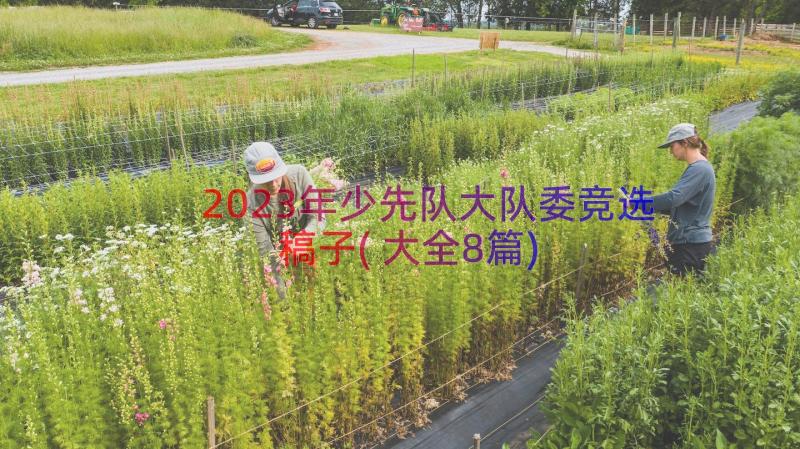 2023年少先队大队委竞选稿子(大全8篇)