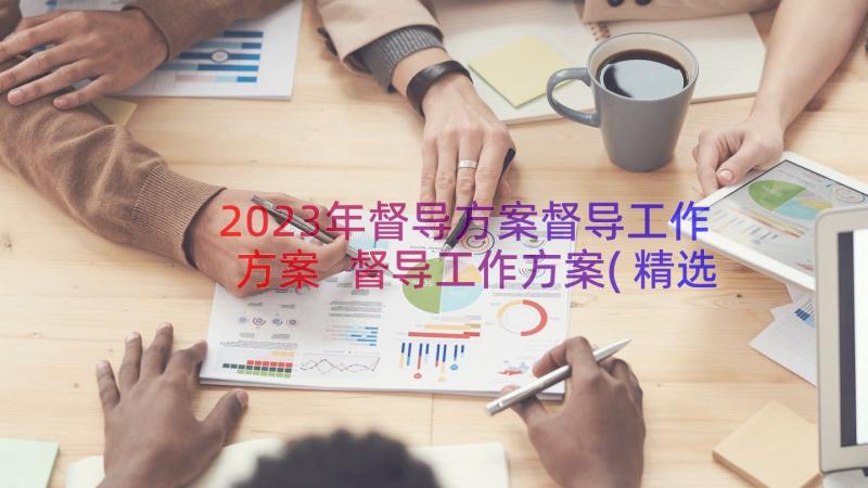 2023年督导方案督导工作方案 督导工作方案(精选17篇)