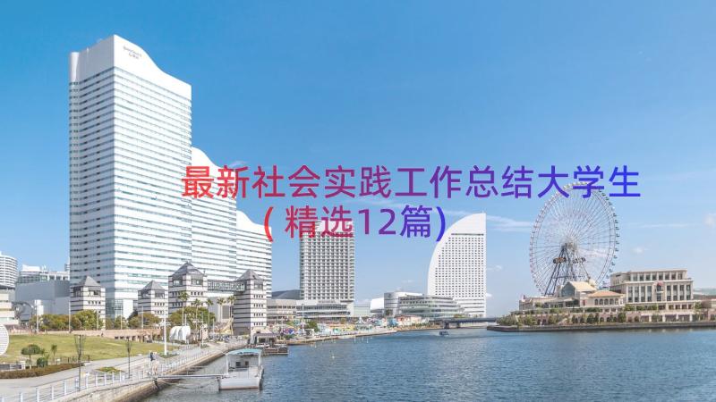 最新社会实践工作总结大学生(精选12篇)