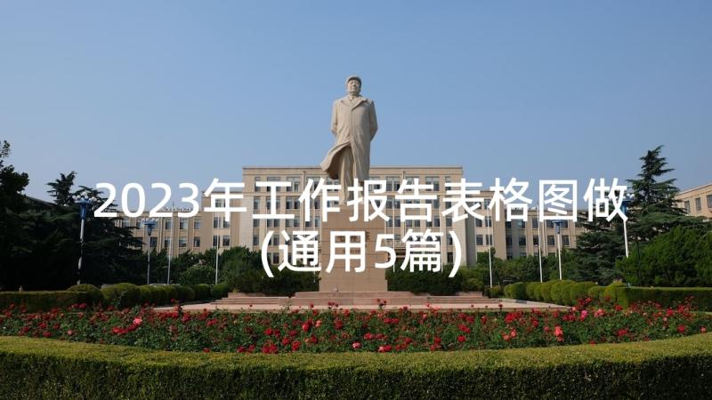 2023年工作报告表格图做(通用5篇)