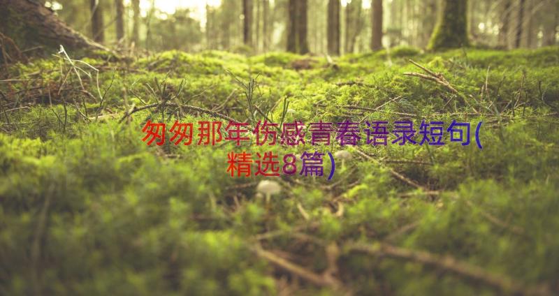 匆匆那年伤感青春语录短句(精选8篇)