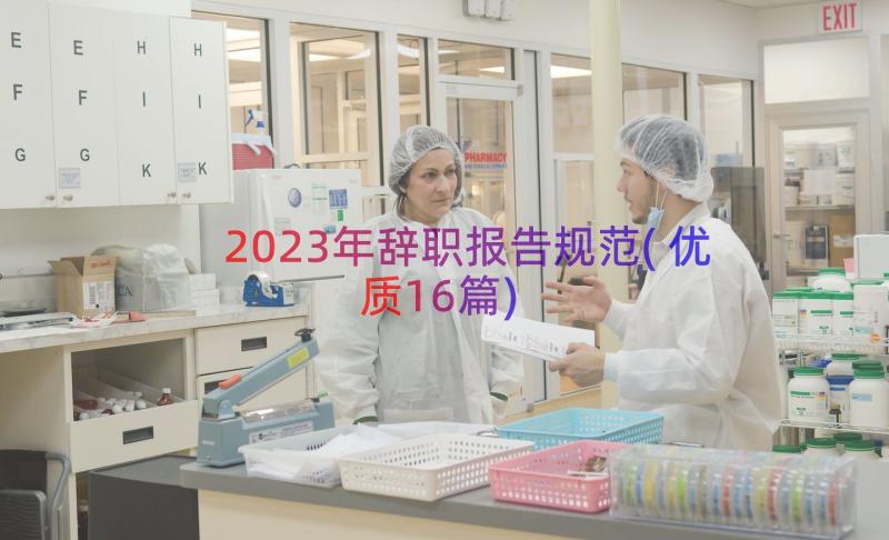 2023年辞职报告规范(优质16篇)