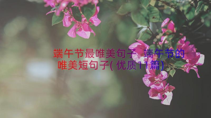 端午节最唯美句子 端午节的唯美短句子(优质11篇)