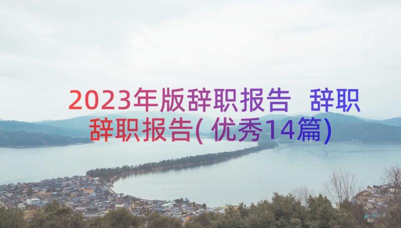 2023年版辞职报告 辞职辞职报告(优秀14篇)