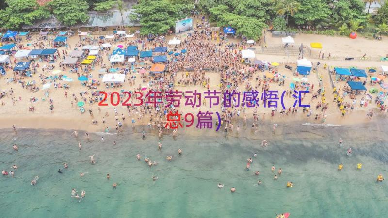 2023年劳动节的感悟(汇总9篇)