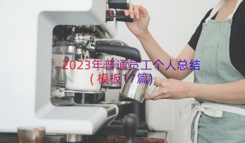 2023年普通员工个人总结(模板17篇)