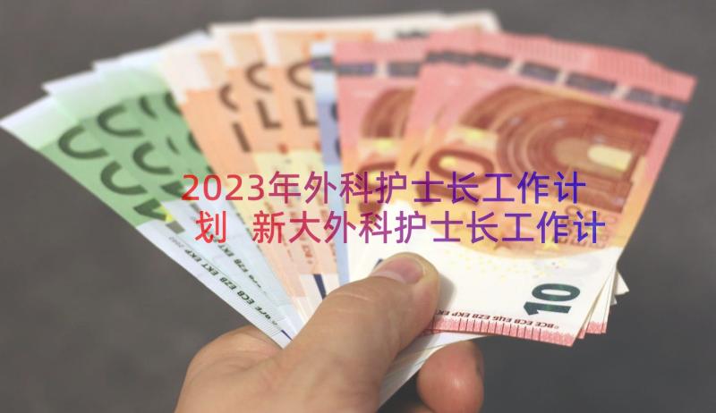 2023年外科护士长工作计划 新大外科护士长工作计划(大全8篇)