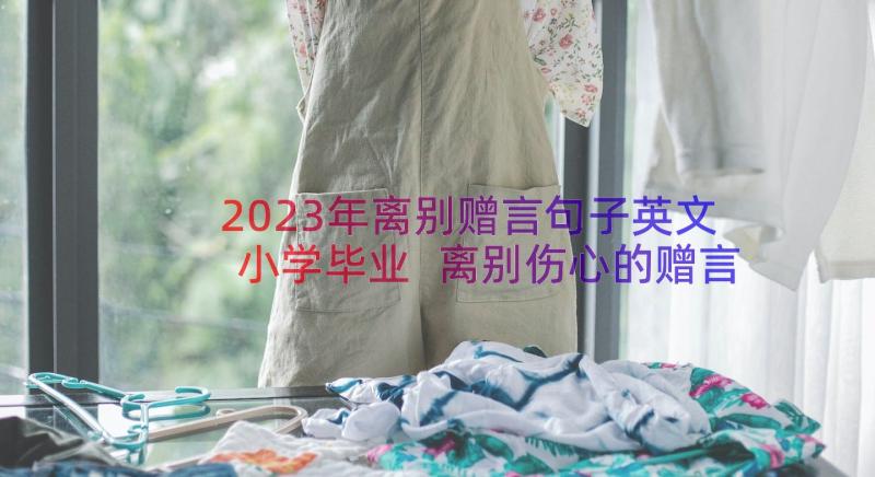 2023年离别赠言句子英文小学毕业 离别伤心的赠言句子(大全12篇)