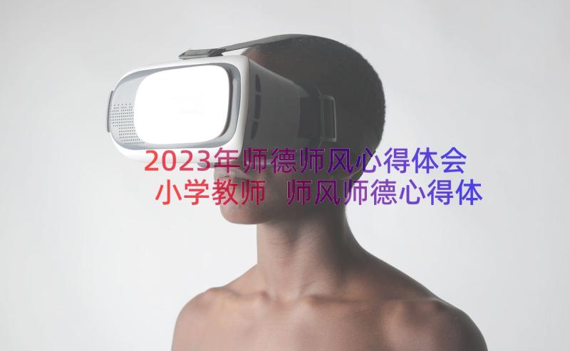 2023年师德师风心得体会小学教师 师风师德心得体会(汇总20篇)