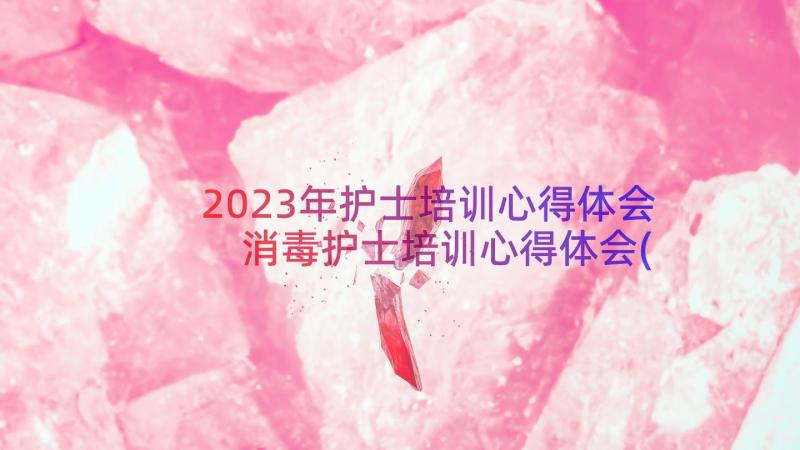 2023年护士培训心得体会 消毒护士培训心得体会(优秀13篇)