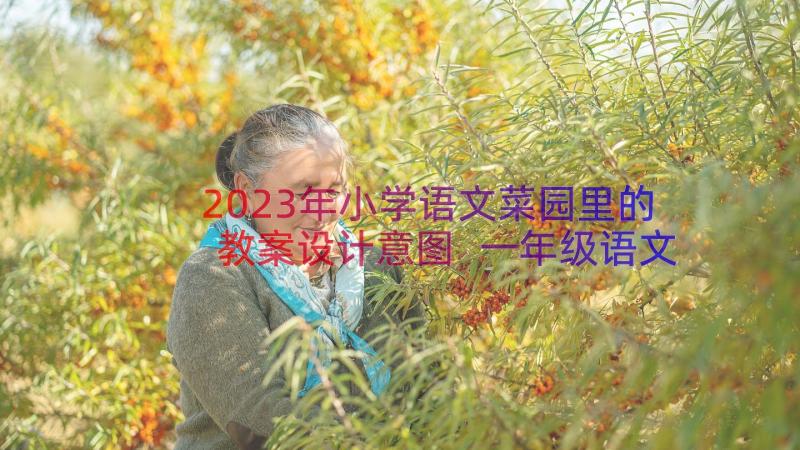 2023年小学语文菜园里的教案设计意图 一年级语文菜园里教案小设计(大全8篇)