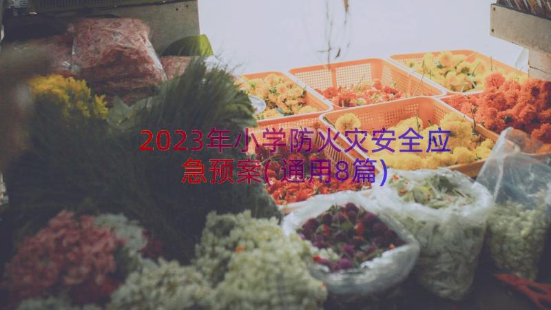 2023年小学防火灾安全应急预案(通用8篇)