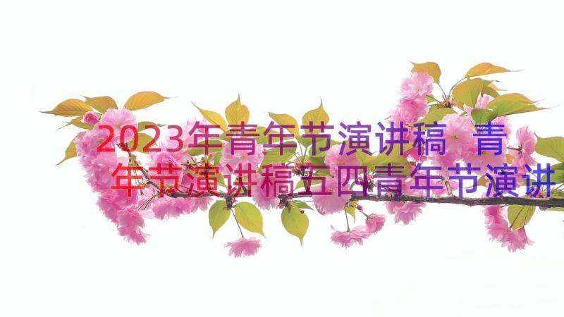 2023年青年节演讲稿 青年节演讲稿五四青年节演讲稿(优秀8篇)