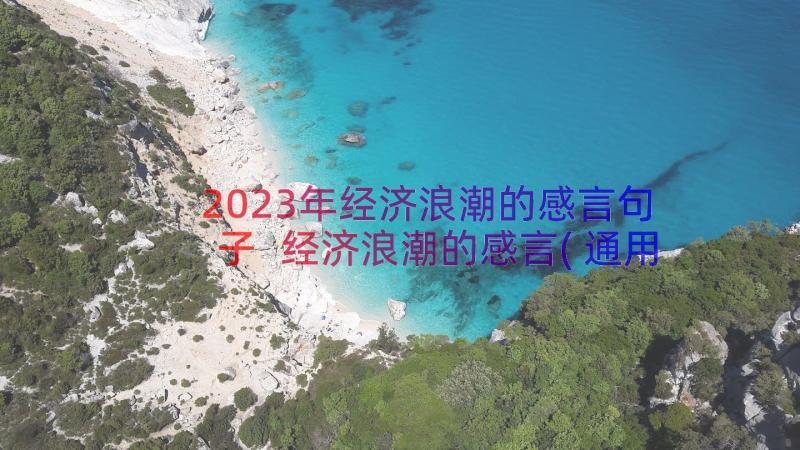 2023年经济浪潮的感言句子 经济浪潮的感言(通用8篇)