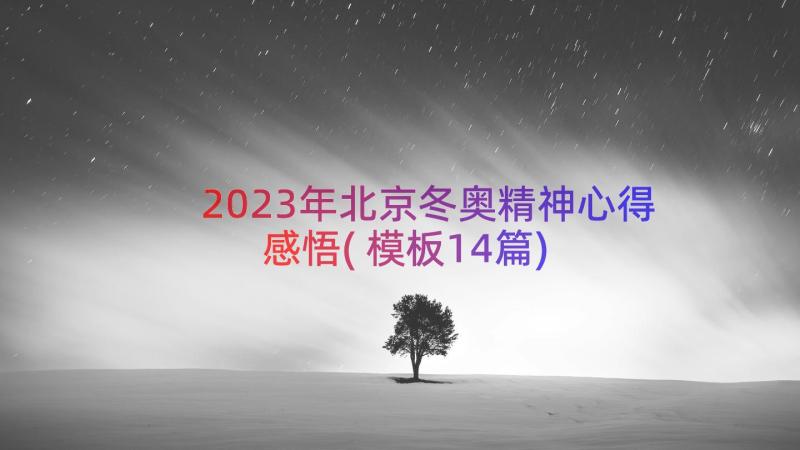 2023年北京冬奥精神心得感悟(模板14篇)