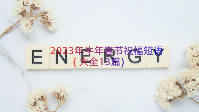 2023年牛年春节祝福短语(大全13篇)