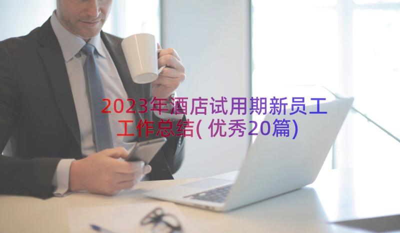 2023年酒店试用期新员工工作总结(优秀20篇)