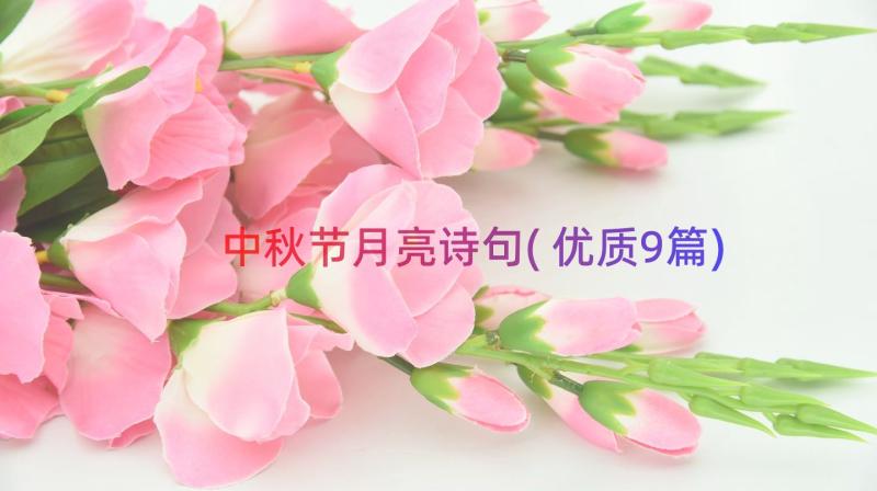 中秋节月亮诗句(优质9篇)