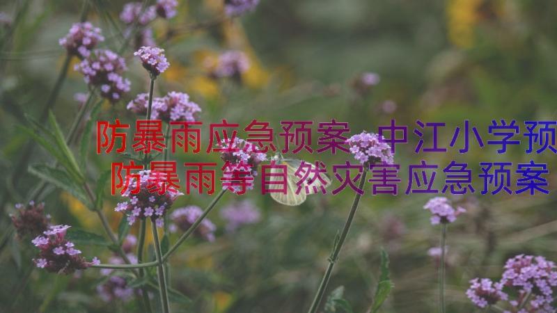 防暴雨应急预案 中江小学预防暴雨等自然灾害应急预案(通用5篇)