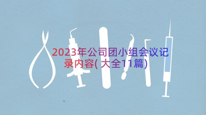 2023年公司团小组会议记录内容(大全11篇)