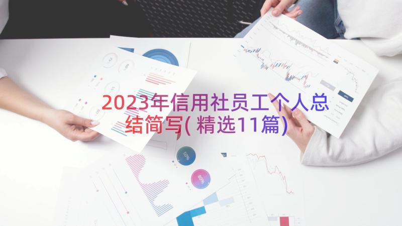 2023年信用社员工个人总结简写(精选11篇)