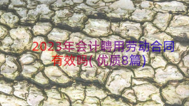 2023年会计聘用劳动合同有效吗(优质8篇)