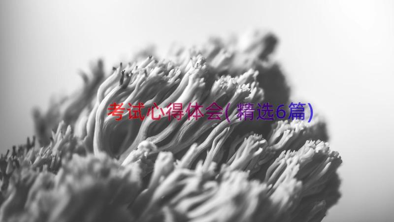 考试心得体会(精选6篇)