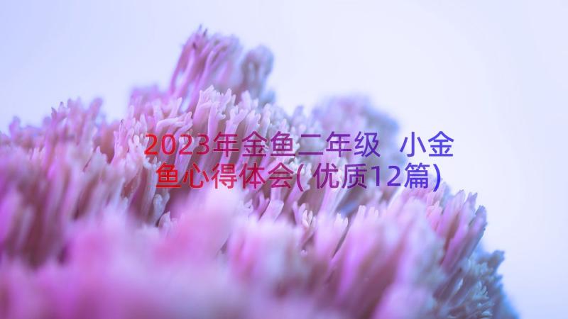 2023年金鱼二年级 小金鱼心得体会(优质12篇)