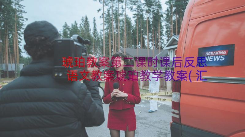 琥珀教案第二课时课后反思 语文教案琥珀教学教案(汇总8篇)