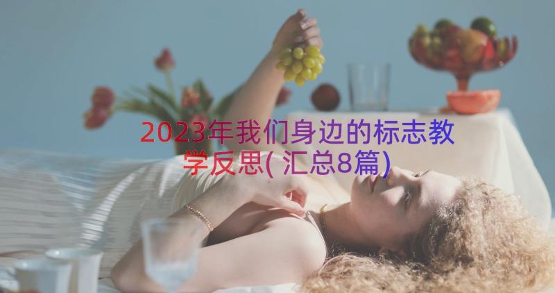 2023年我们身边的标志教学反思(汇总8篇)