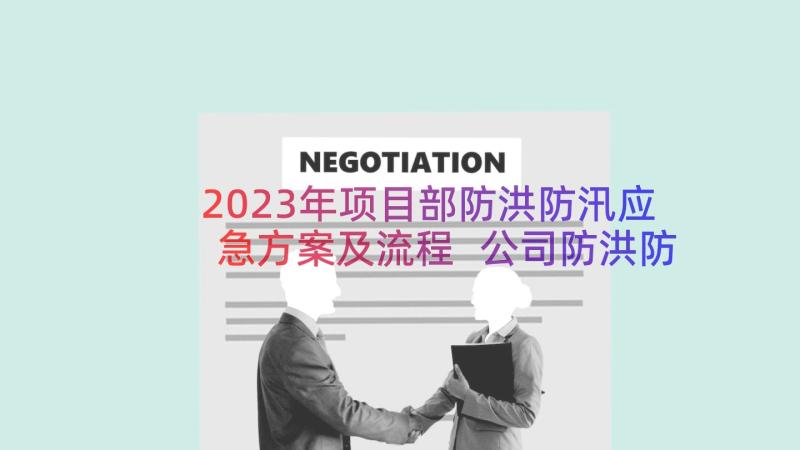 2023年项目部防洪防汛应急方案及流程 公司防洪防汛应急方案(模板11篇)